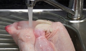 غسل الدجاج